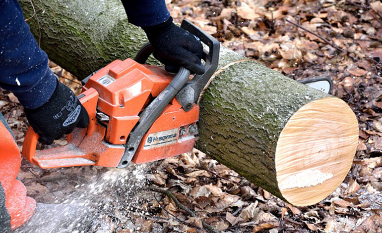 TreeSurgery